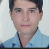 حامد قاسمی