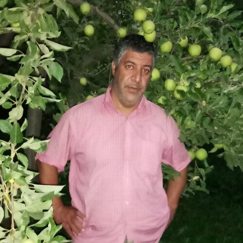 محمد ابوالفتحی