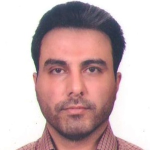 سیدحسین فقهی