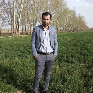 محمد داودی