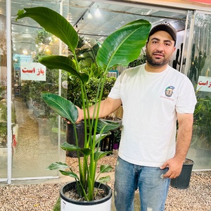 صادق عزیزی