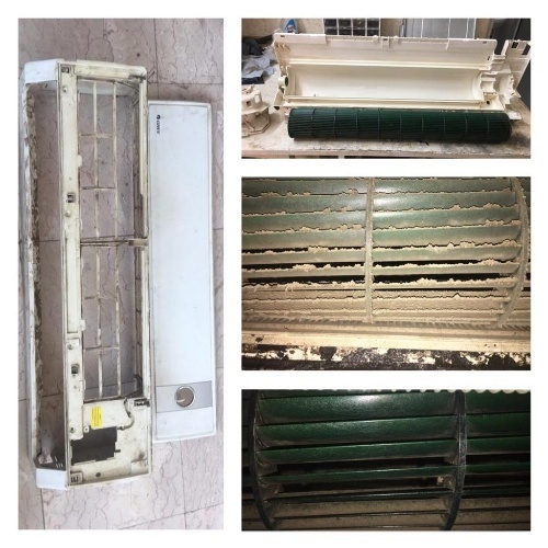 سید جواد مومنیها