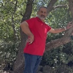 منصور معظمی گودرزی