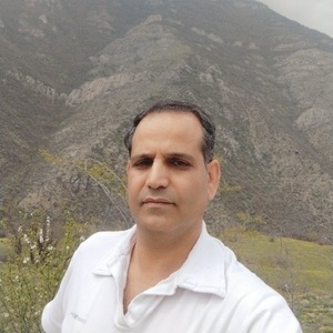 مجتبی یاوری