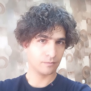 امیر سلطانی