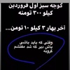 جواد حسنی