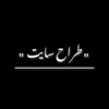 حسین حسنلو