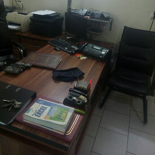 محمد ذولفقاری