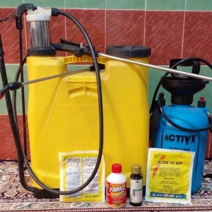 تقی اکبری گوراب پسی