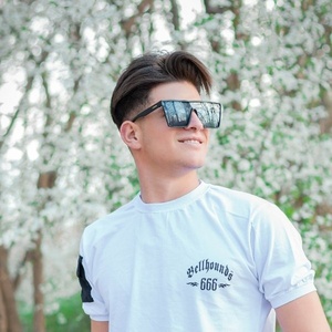 محمد شاهوردی