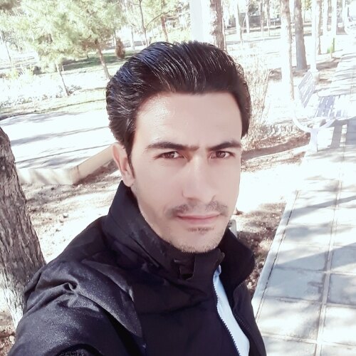 وحید رشیدی فرد