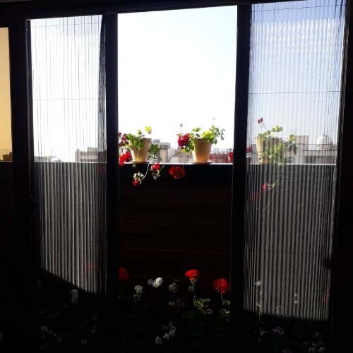 فاطمه رمضانی