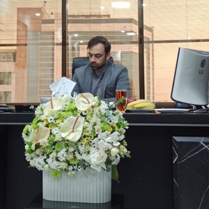 محمد حسین وند