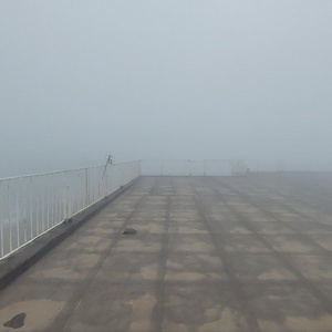 مسعود خاک شهرستانی