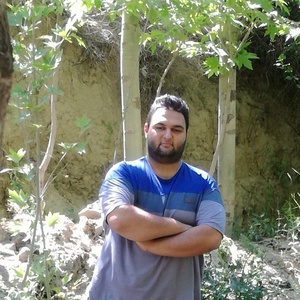 عماد حسینی قرقی