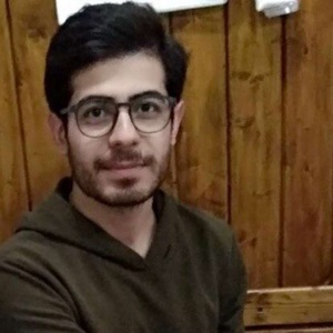 شاهین دانیالی