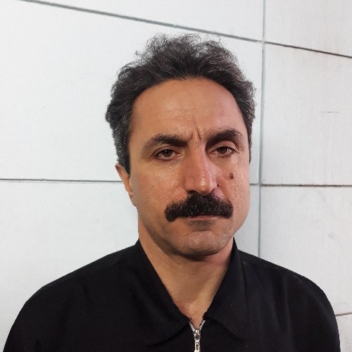 سیدفرزاد سحرخیزپیچاهی