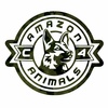 رامین بیات