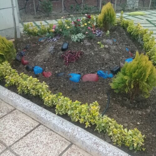 احمد عباس پوران عباسی