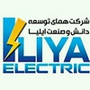 مصطفی شاه حسینی
