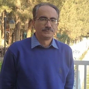 بهروز امیری