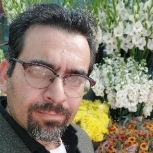 سید میثم محمدی