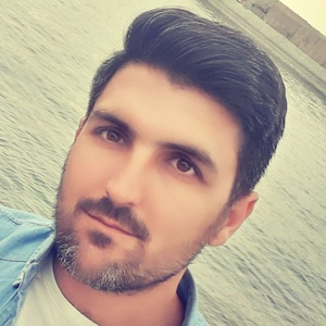 مجتبی بهارلوئی