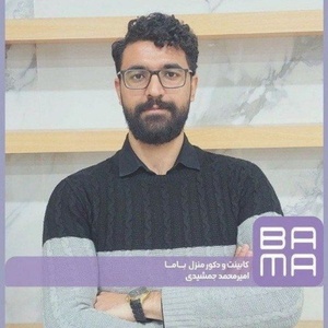 امیرمحمد جمشیدی