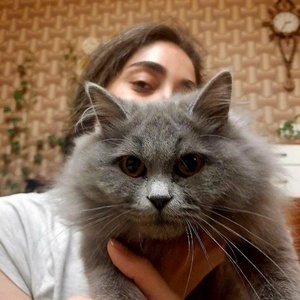 عطیه طلوعی فرگوشی