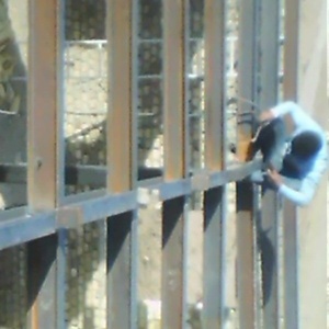 محمود صادقی