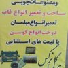 محمد رضا باباصفری رنانی