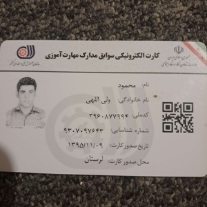 محمود ولی الهی