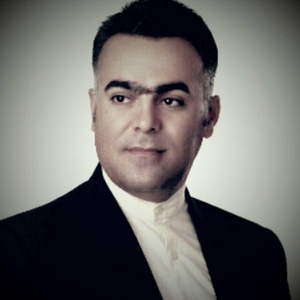 هادی مرادی