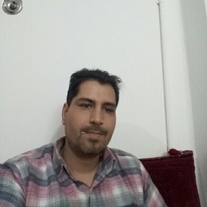 حامد عرب تیموری