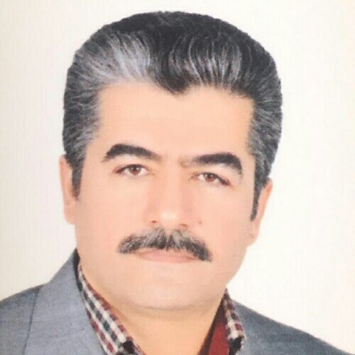 حمیدرضا شفیعی نیکو