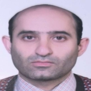 مهدی بهگر