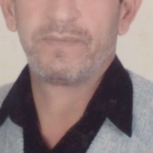 مجتبی عسگری