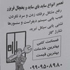 پیمان شکری