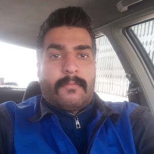 مرتضی محمدی برنجگانی