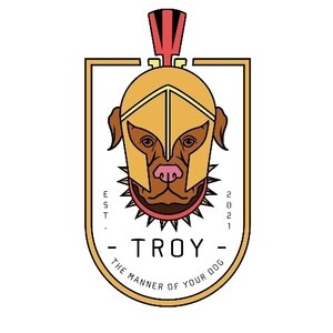 فیروزه صیرفی