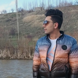 عادل بهاری تاشه کبود