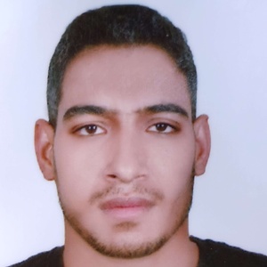 سعید شاهیخشت