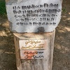 مهران برخوردار