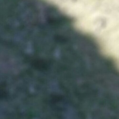 فرشته بیگدلی