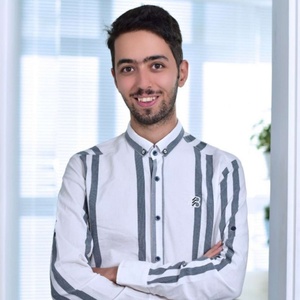 سیدامیرمحمد موسوی پور