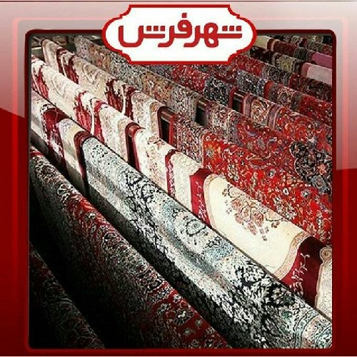 فاطمه جعفری