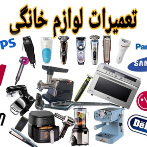 سید فرزین میرنظامی