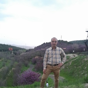 علی اصغری سلوط