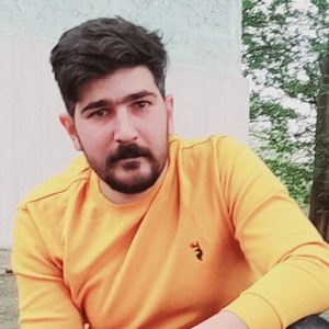 مرتضی حمیدی