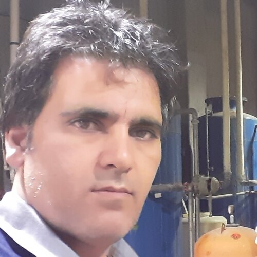 بهمن سلیمانی ترکاشوند